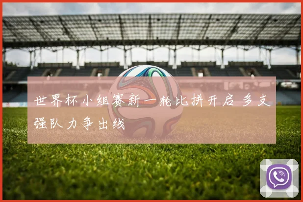 世界杯小组赛新一轮比拼开启 多支强队力争出线