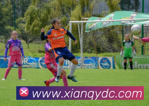 球赛押注app官网APP 封面图