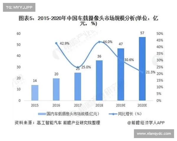 全面剖析足球虚拟队构建机制及其优缺点与发展前景研究深度探讨分析